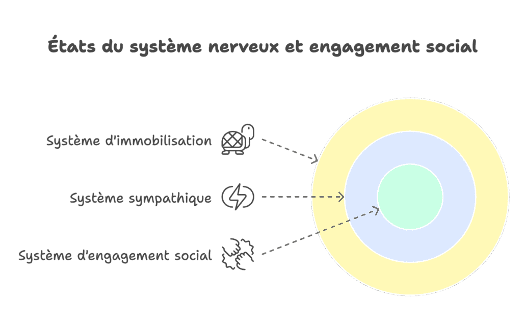 Etats du système nerveux et engagement social